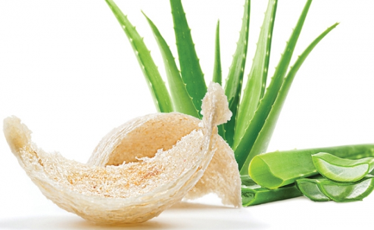 Giúp mẹ “hóa giải” mọi âu lo nhờ món nước yến cho bé