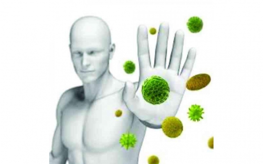 Nâng cao sức đề kháng - Tổ yến chưng sẵn tại Hà Nội