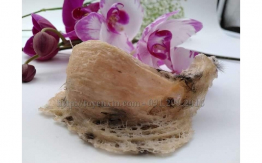 Những cách chế biến tổ yến thô hiệu quả nhất